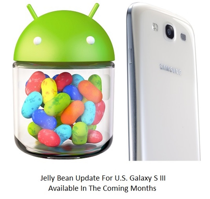 Samsung Galaxy S con Jelly Bean