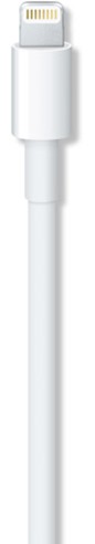 Apple Lightning Cable