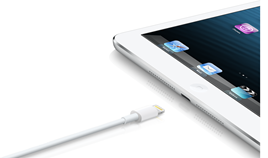 Apple iPad mini Lightning Connector