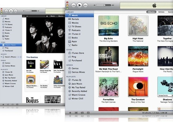 Apple iTunes 10.2