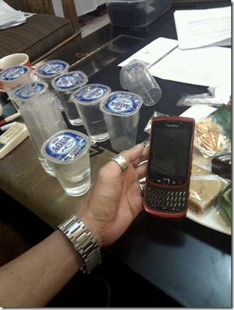 BlackBerry Torch 9800_Red