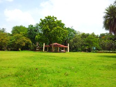 Samsung Galaxy S II camera review 