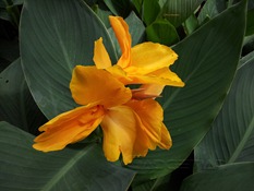 Samsung Galaxy S II camera review 