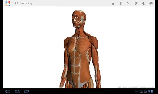 Google Body App For Honeycomb Tablets