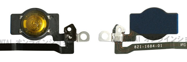 Home Button of the Apple iPhone5S