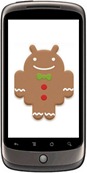 Ginegrbread on Nexus One