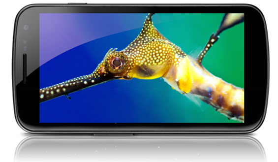 Samsung Galaxy Nexus