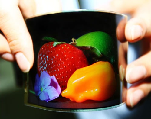 Samsung flexible amoled display