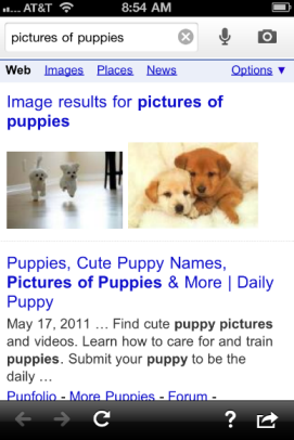 google search ios app