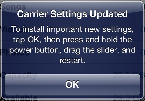 iPhone 5 Verizon Carrier Update 13.1